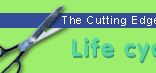 Cutting Edge Apparel Business Guide logo