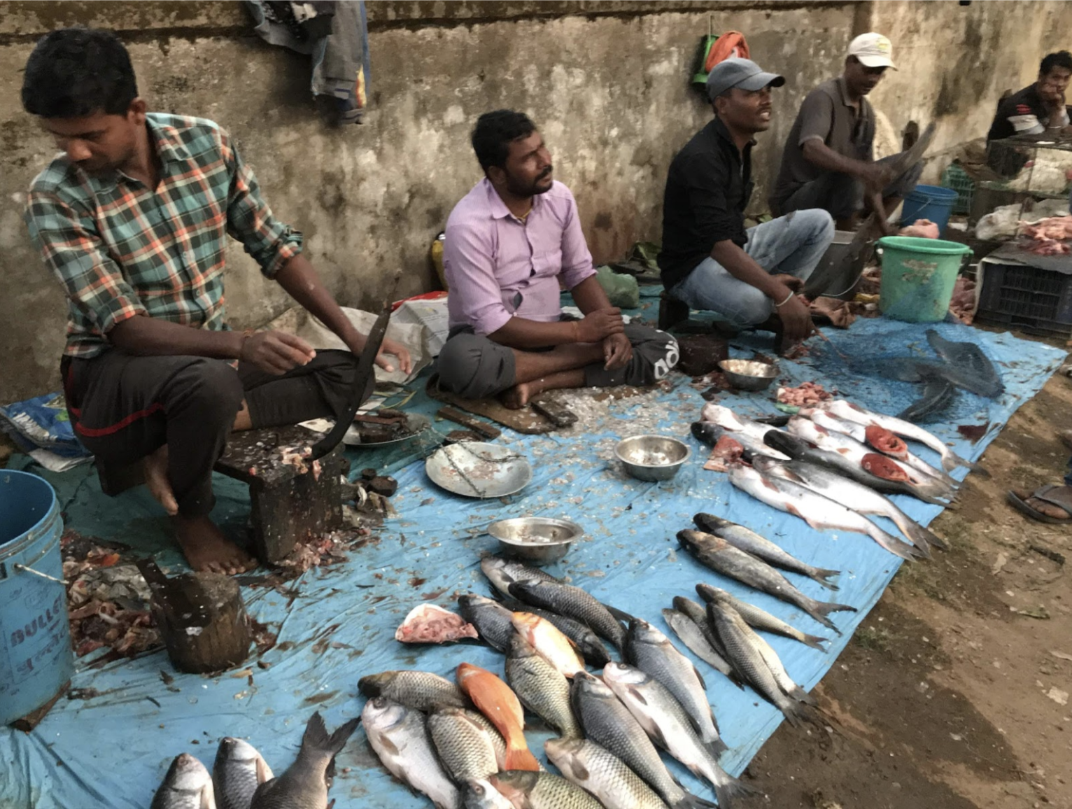 Image of seated men with fish at village market