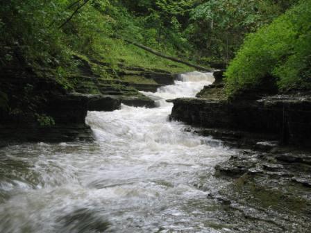 Buttermilk Falls, Ithaca NY 
